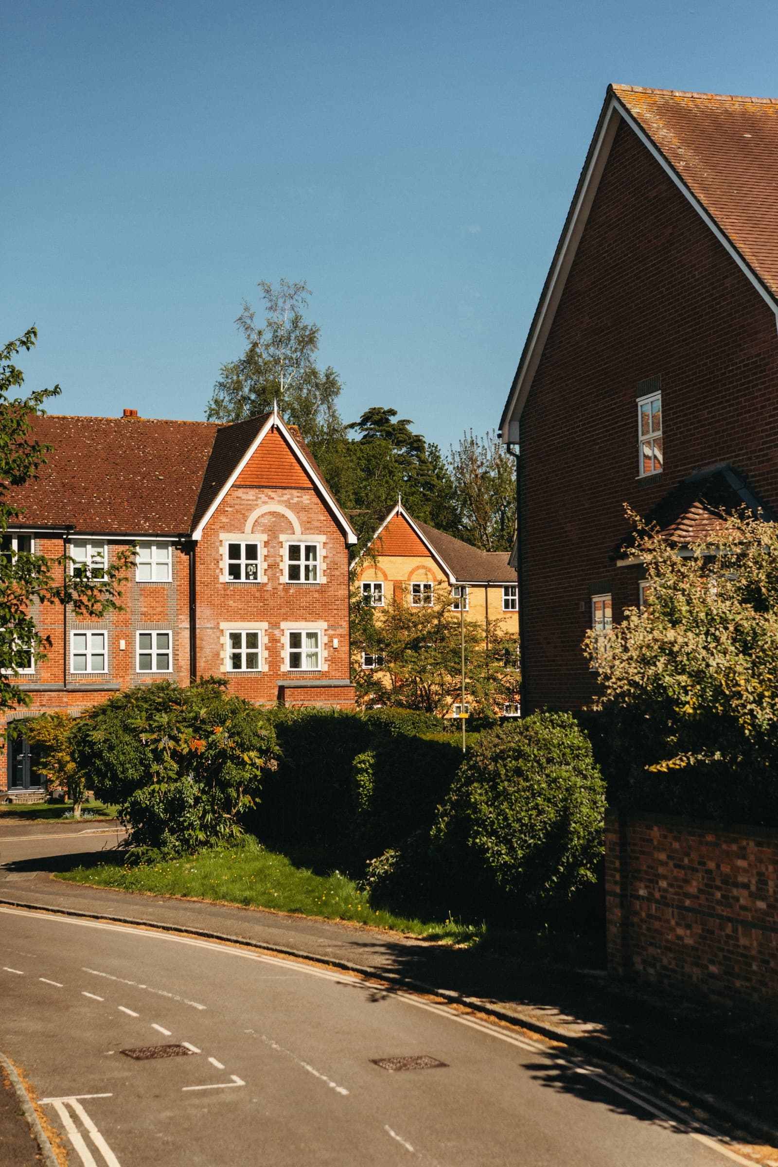 Homes on an established residential street