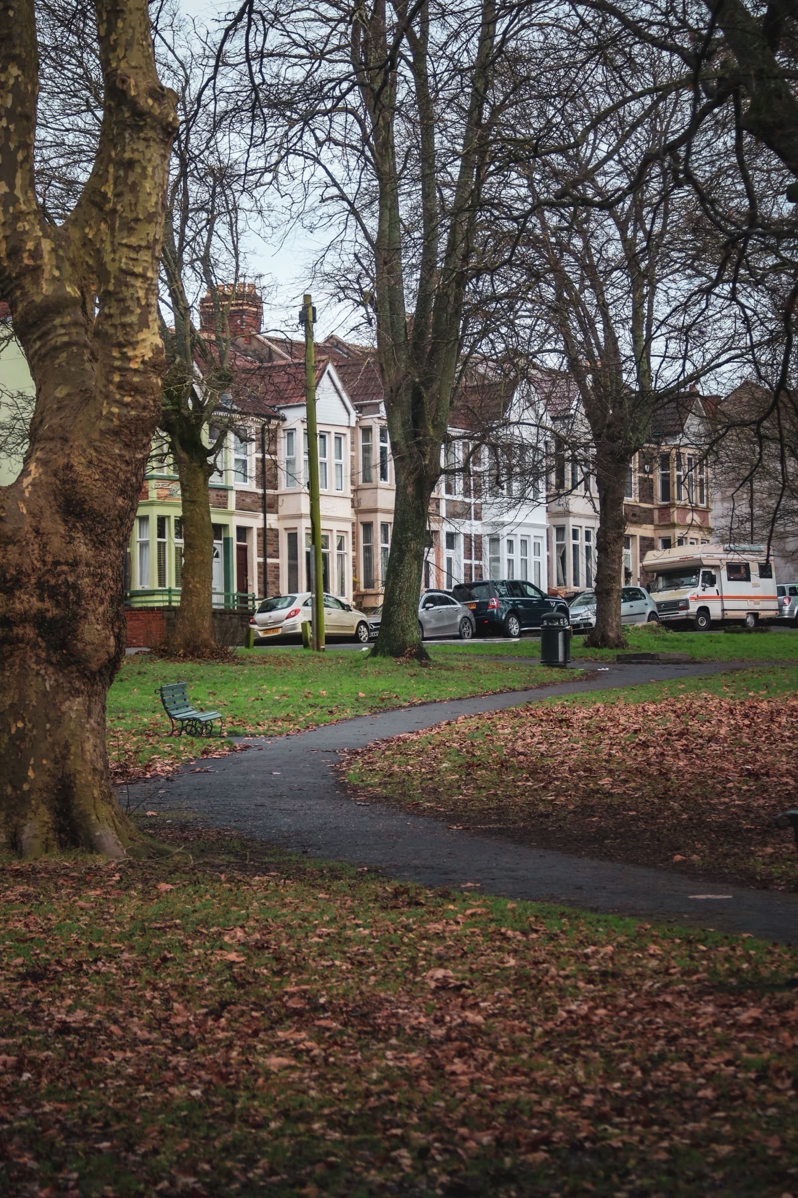 Homes beside a tree-lined neighbourhood park